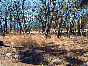 物件サムネイル