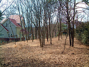 物件サムネイル