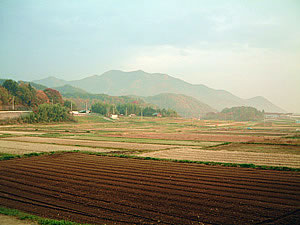 物件サムネイル