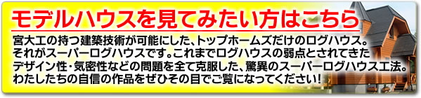 スーパーログハウスを見てください