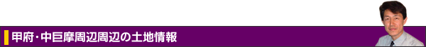 甲府・中巨摩周辺の土地情報